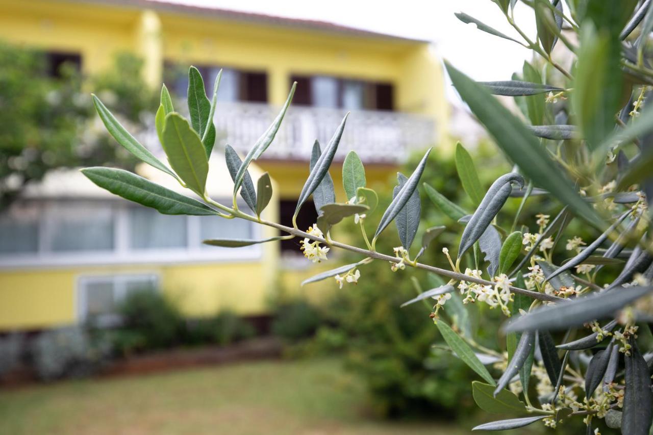Apartment Drago *Cosy & Close To The Beach! Krk Town Εξωτερικό φωτογραφία